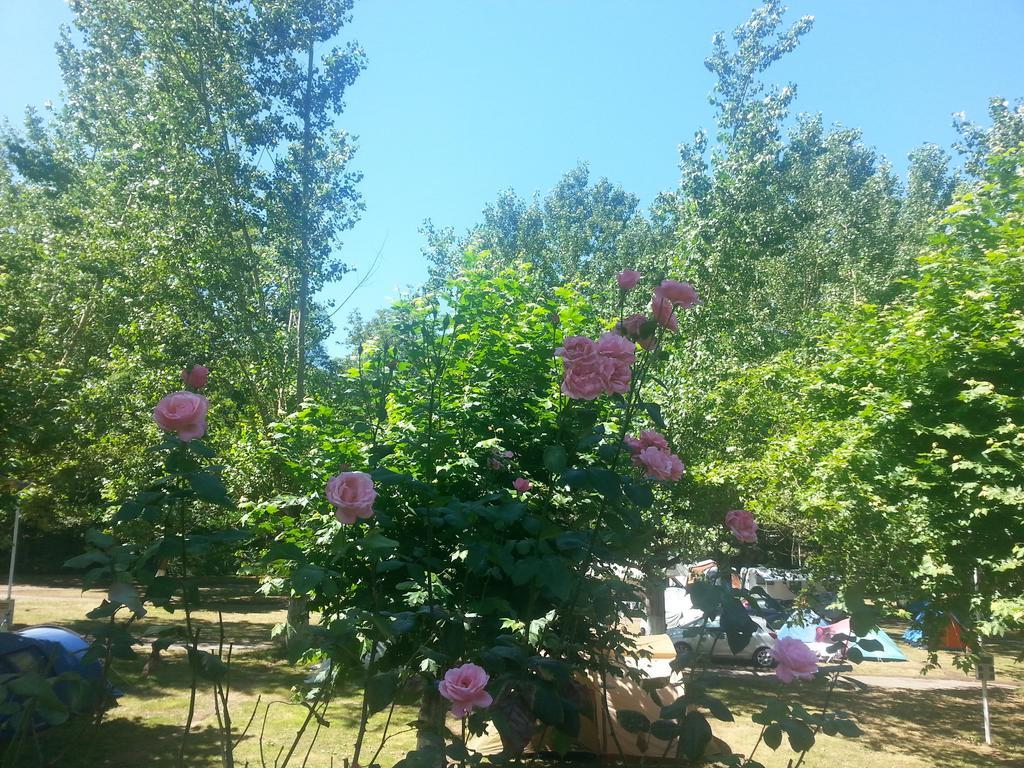 Camping Covadonga Soto De Cangas Esterno foto